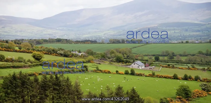 : A scenic landscape of the Dingle Penninsula : A scenic landscape of the Dingle Penninsula