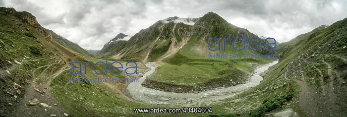 : Scenic panorama of stream in Kashmir mountains in : Scenic panorama of stream in Kashmir mountains in
