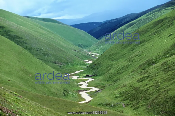 : Scenic, river running through valley at : Scenic, river running through valley at