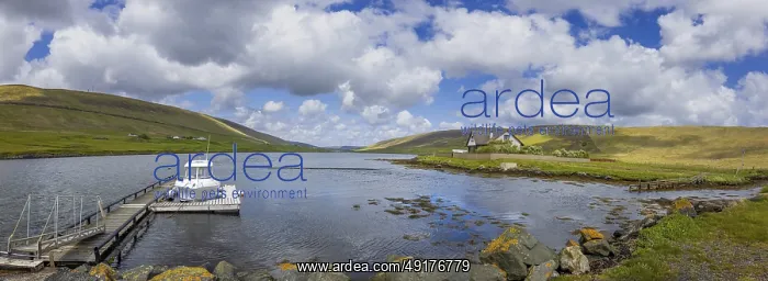 : Scenic Scotland Shetland nature scenery in England : Scenic Scotland Shetland nature scenery in England