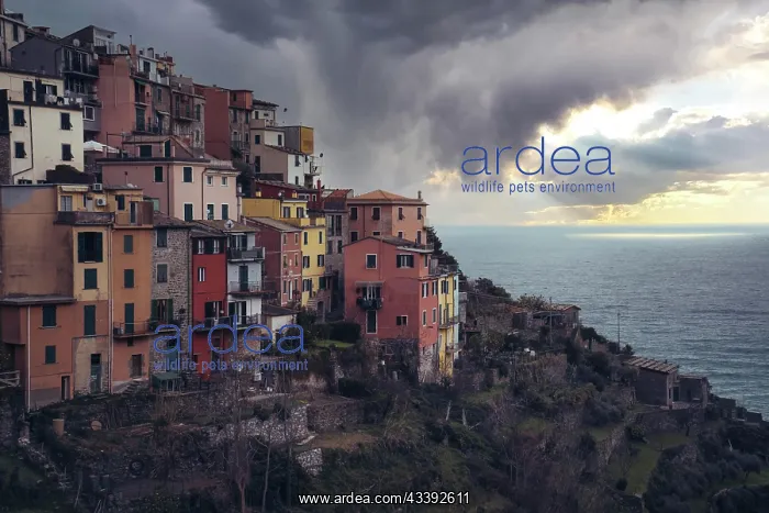 : Scenic view of Coniglia village located in Cinque : Scenic view of Coniglia village located in Cinque