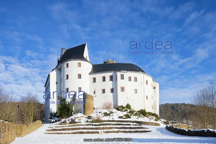 : Scharfenstein Castle is a Spornburg on an elongated s : Scharfenstein Castle is a Spornburg on an elongated s