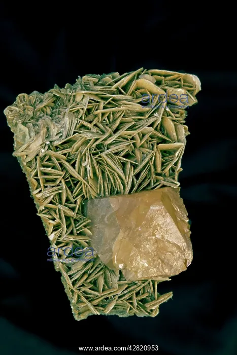 : Scheelite Crystal (CaWO4) (bottom) on Muscovite : Scheelite Crystal (CaWO4) (bottom) on Muscovite