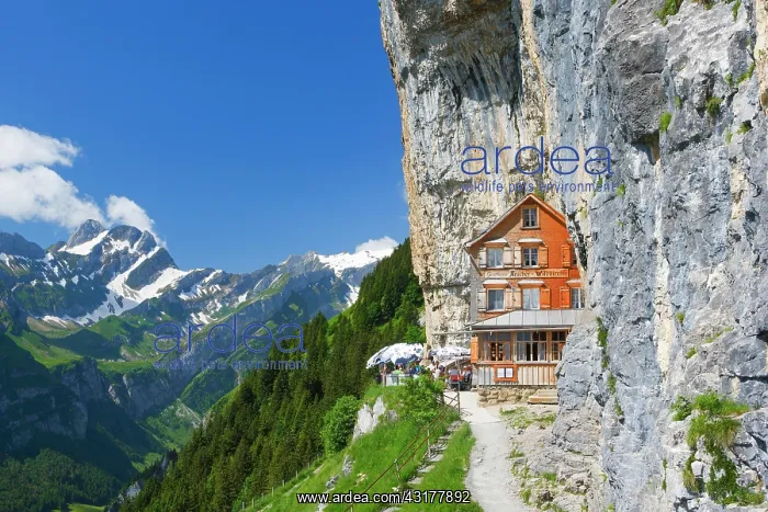 : A scher Wildkirchli, Appenzell Innerrhoden, Switzerland : A scher Wildkirchli, Appenzell Innerrhoden, Switzerland