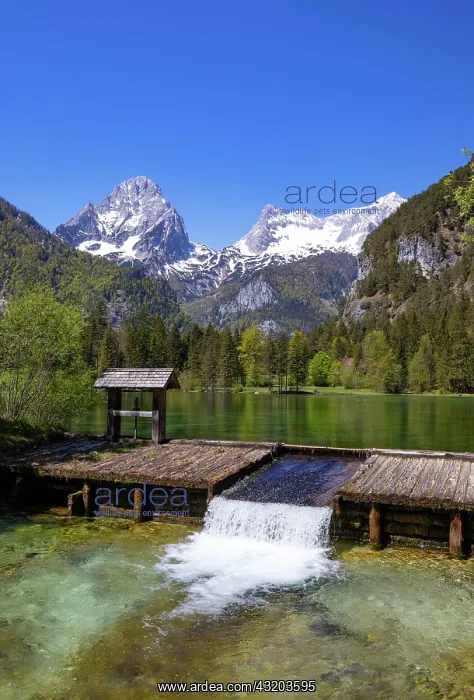 : Schiederweiher, in front of the mountains Groier : Schiederweiher, in front of the mountains Groier