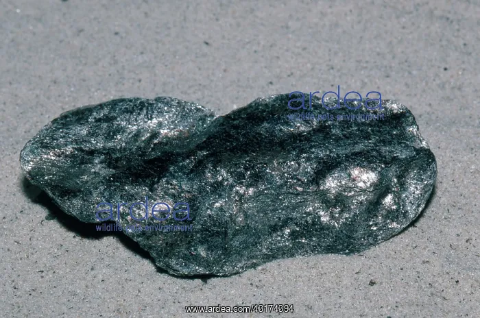 : Schist, a metamorphic rock : Schist, a metamorphic rock