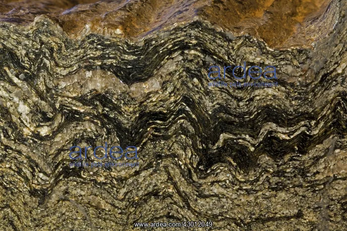 : Schist metamorphic rock : Schist metamorphic rock