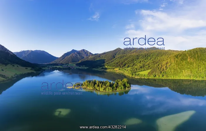 : Schliersee with island W&, x1b2d28; and Brecherspitze : Schliersee with island W&, x1b2d28; and Brecherspitze