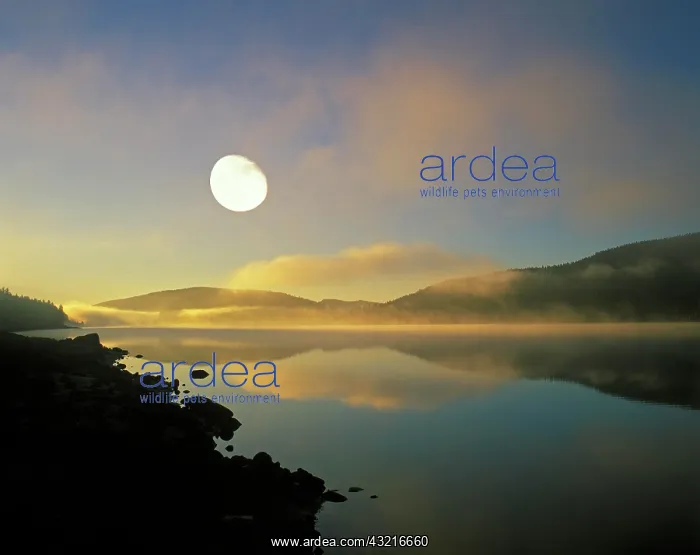 : Schluchsee Black Forest Baden-Wuerttemberg Germany : Schluchsee Black Forest Baden-Wuerttemberg Germany