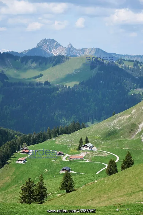 : Schnnfeldalmen with Schnnfeldhatte, mountain hut : Schnnfeldalmen with Schnnfeldhatte, mountain hut