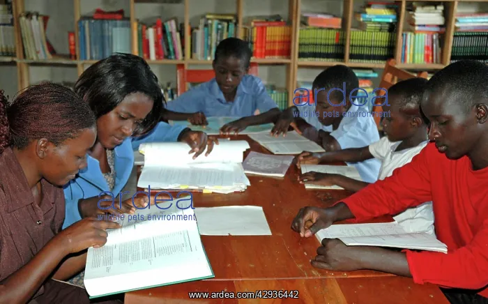 : School children reading books, Uganda, Africa : School children reading books, Uganda, Africa