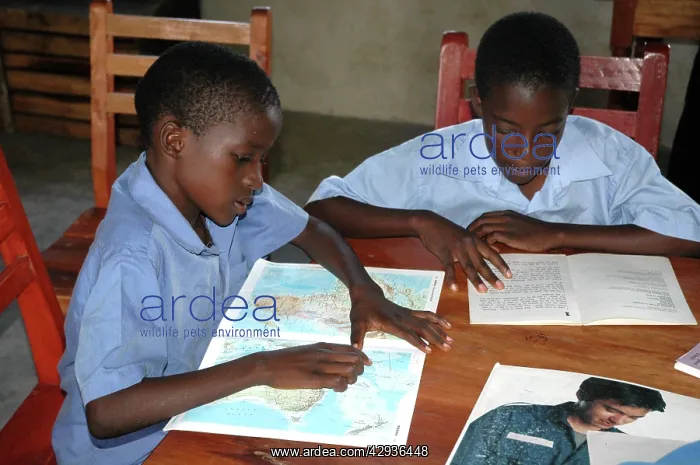 : Schoolchildren reading books, Uganda, Africa : Schoolchildren reading books, Uganda, Africa