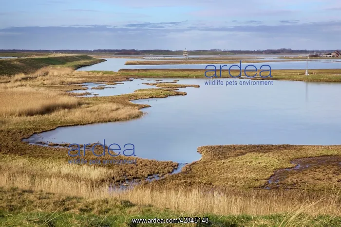  : Schouwen-Duiveland Nature Reserve - Netherlands