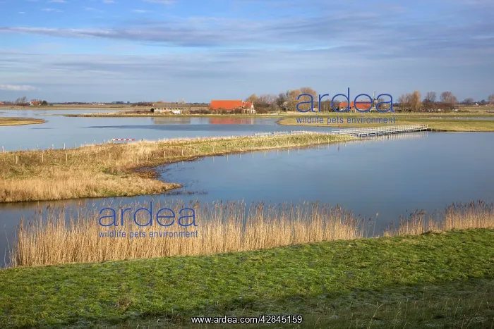  : Schouwen-Duiveland Nature Reserve - Netherlands