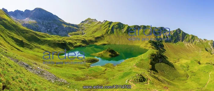 : Schrecksee and Allgcu Alps, Bad Hindelang, Allgcu : Schrecksee and Allgcu Alps, Bad Hindelang, Allgcu