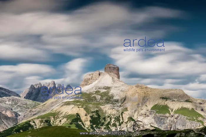 : Schwabenalpenkopf with moving clouds, long time : Schwabenalpenkopf with moving clouds, long time