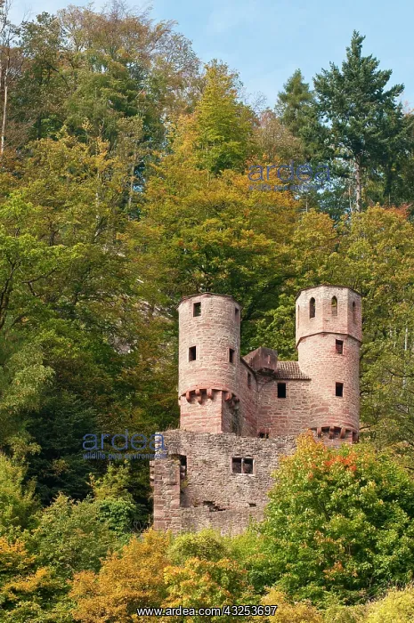 : The Schwalbennest or sparrow's nest castle : The Schwalbennest or sparrow's nest castle