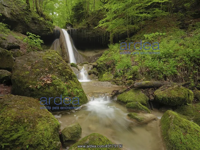 : Schwarzenbach Waterfall, Baar, Canton Zug : Schwarzenbach Waterfall, Baar, Canton Zug