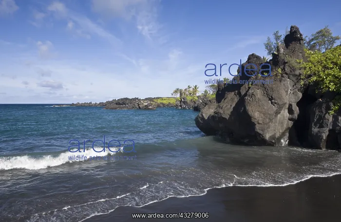 : Schwarzer Strand im Waianapanapa State Park an der : Schwarzer Strand im Waianapanapa State Park an der