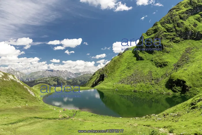 : Schwarzsee below the Hochjoch, Schruns, Vorarlberg : Schwarzsee below the Hochjoch, Schruns, Vorarlberg