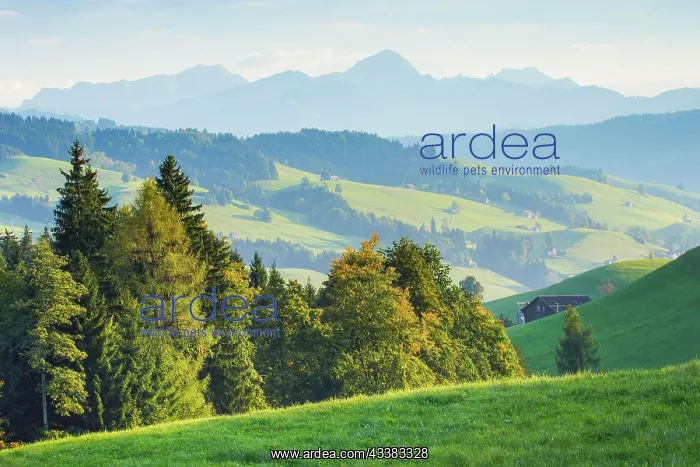 : Schwellbrunn, Appenzellerland, Switzerland, Europe : Schwellbrunn, Appenzellerland, Switzerland, Europe