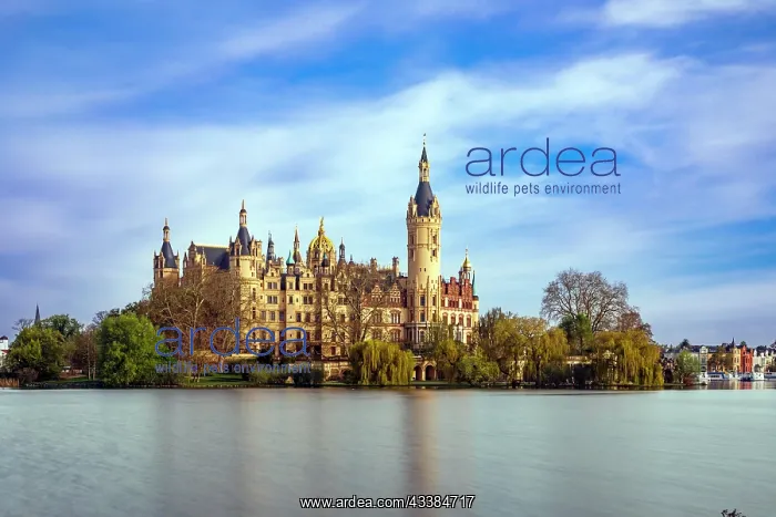 : Schwerin Palace, Seat of the Parliament of Mecklenburg-Weste : Schwerin Palace, Seat of the Parliament of Mecklenburg-Weste