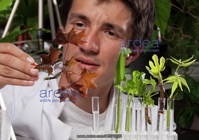 : Scientist - Etienne Couturier at the laboratory : Scientist - Etienne Couturier at the laboratory