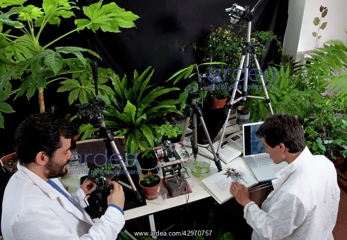 : Scientists - Stephane Douady & Etienne Couturier