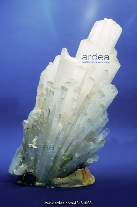 : Scolecite from Rio Grande do Sul, Brazil : Scolecite from Rio Grande do Sul, Brazil