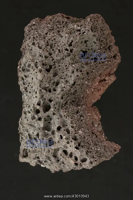  : Scoria Hawaii