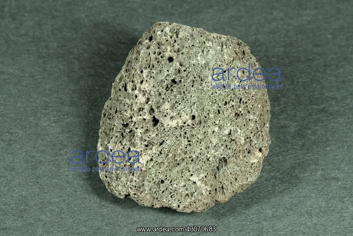 : Scoria, an igneous rock : Scoria, an igneous rock