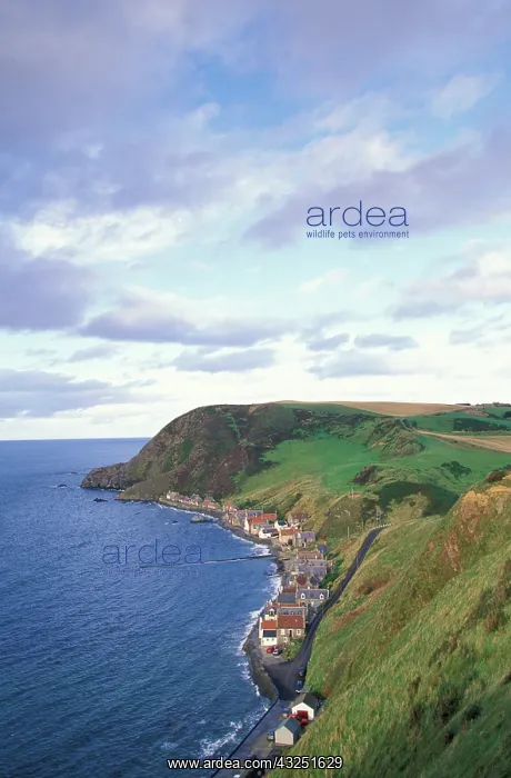 : Scotland, Aberdeen. Overhead view of the : Scotland, Aberdeen. Overhead view of the