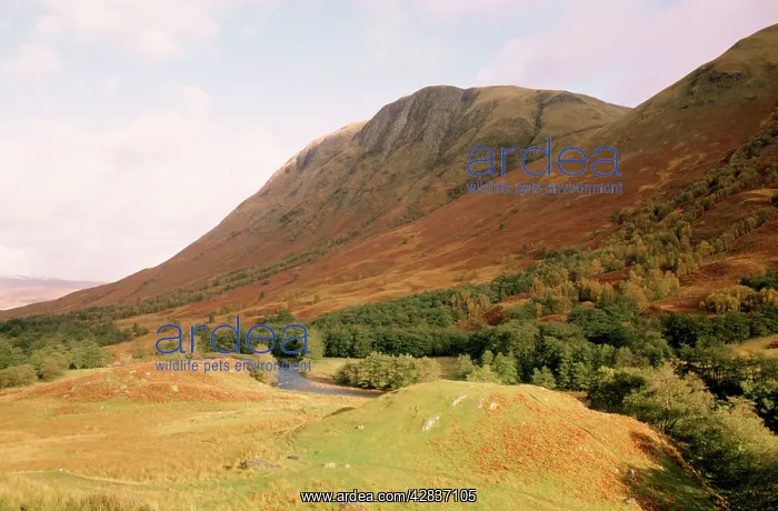 : Scotland - Ben Nevis : Scotland - Ben Nevis