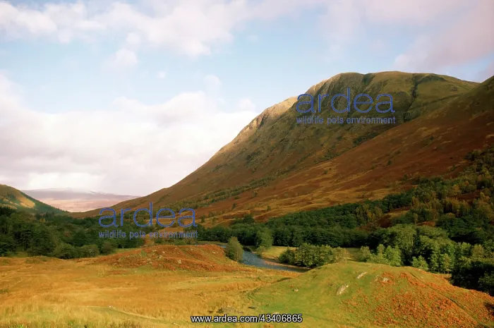 : Scotland - Ben Nevis : Scotland - Ben Nevis