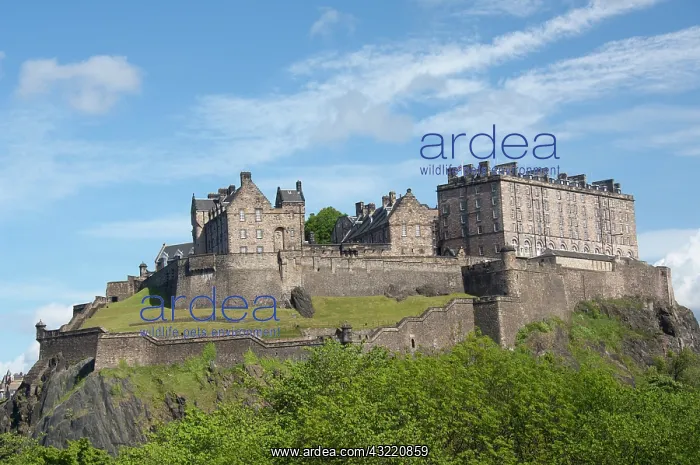 : Scotland, Edinburgh. Historic Edinburgh : Scotland, Edinburgh. Historic Edinburgh
