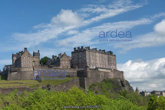: Scotland, Edinburgh. Historic Edinburgh : Scotland, Edinburgh. Historic Edinburgh