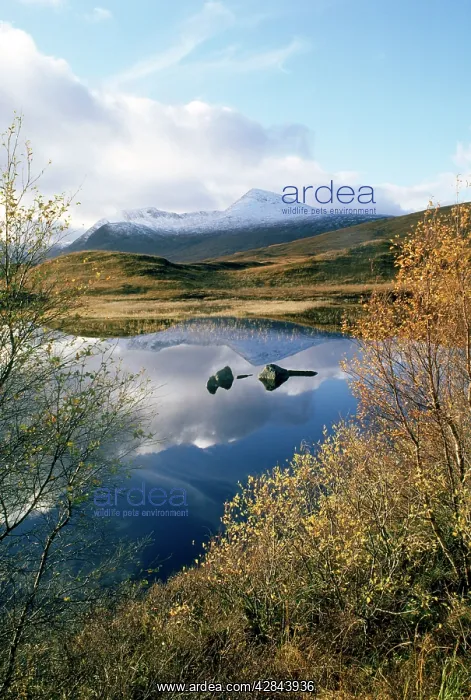 : Scotland - Grampian mountains near Glen Coe : Scotland - Grampian mountains near Glen Coe