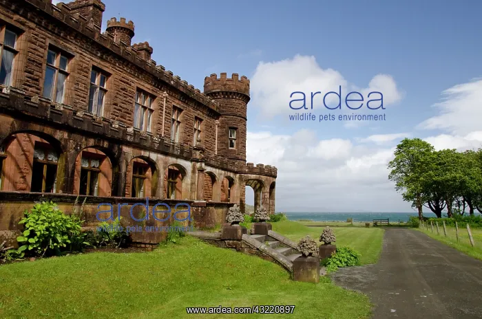 : Scotland, Inner Hebrides, Isle of Rum (aka : Scotland, Inner Hebrides, Isle of Rum (aka