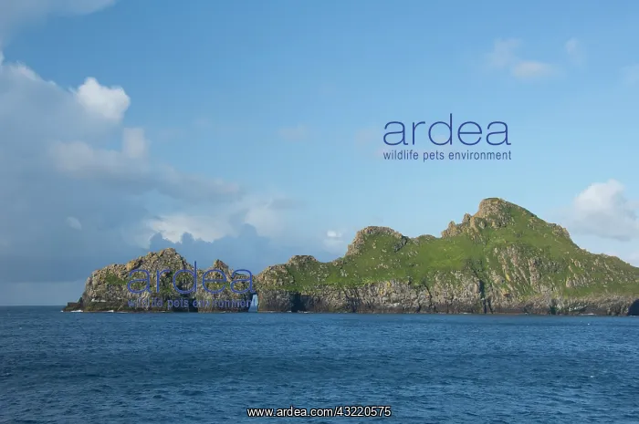 : Scotland, North Atlantic, St. Kilda Islands : Scotland, North Atlantic, St. Kilda Islands