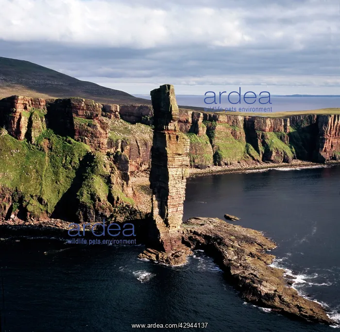 : Scotland - The Old Man of Hoy : Scotland - The Old Man of Hoy