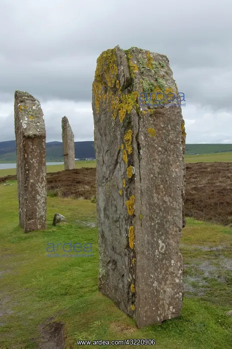 : Scotland, Orkeny Islands, Mainland, Stromness : Scotland, Orkeny Islands, Mainland, Stromness