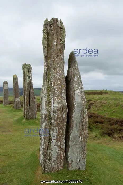 : Scotland, Orkeny Islands, Mainland, Stromness : Scotland, Orkeny Islands, Mainland, Stromness