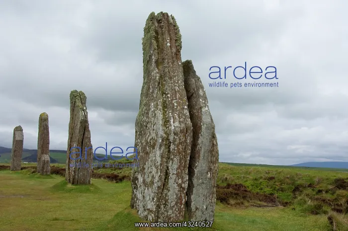 : Scotland, Orkeny Islands, Mainland, Stromness : Scotland, Orkeny Islands, Mainland, Stromness
