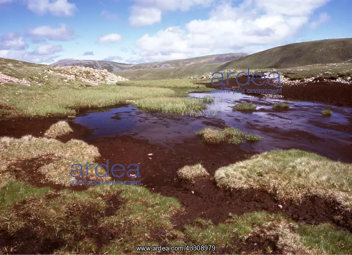 : SCOTLAND - Peat Bog landscape : SCOTLAND - Peat Bog landscape