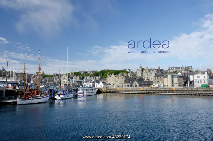 : Scotland, Shetland Islands, Mainland, Lerwick : Scotland, Shetland Islands, Mainland, Lerwick