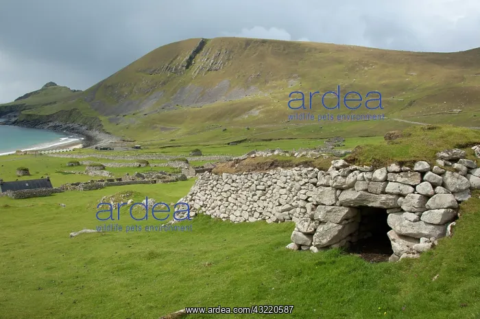 : Scotland, St. Kilda Islands, Outer Hebrides : Scotland, St. Kilda Islands, Outer Hebrides