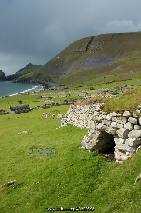 : Scotland, St. Kilda Islands, Outer Hebrides : Scotland, St. Kilda Islands, Outer Hebrides