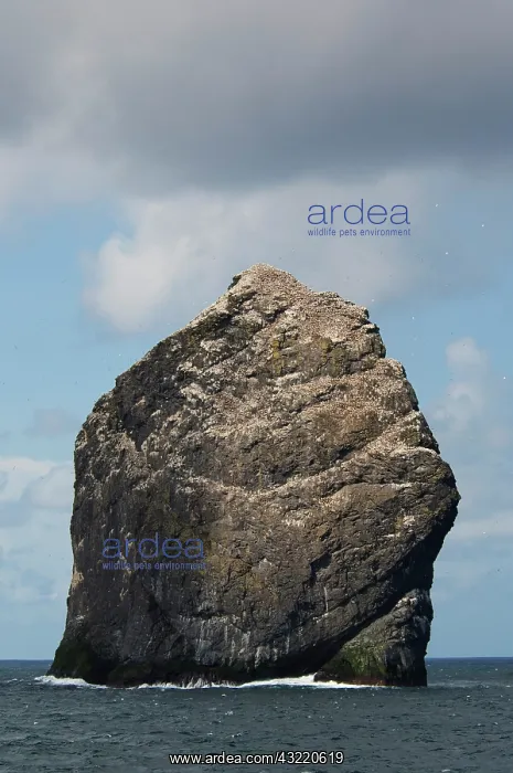 : Scotland, St. Kilda Islands, Outer Hebrides : Scotland, St. Kilda Islands, Outer Hebrides