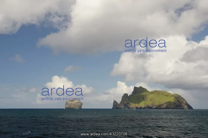 : Scotland, St. Kilda Islands, Outer Hebrides : Scotland, St. Kilda Islands, Outer Hebrides