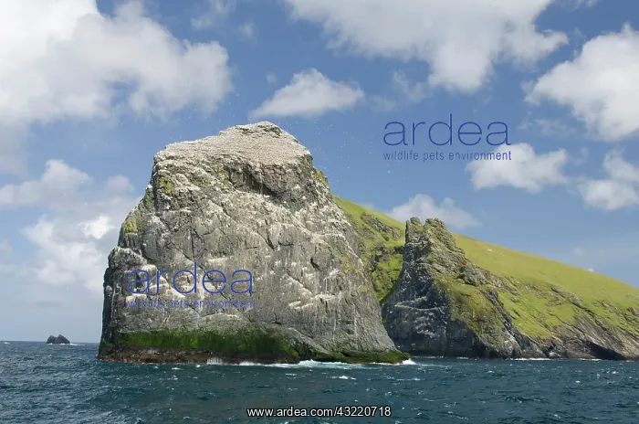 : Scotland, St. Kilda Islands, Outer Hebrides : Scotland, St. Kilda Islands, Outer Hebrides